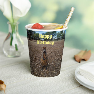 "Nature's Fast: A Wallaby's Snack Break" Pappbecher