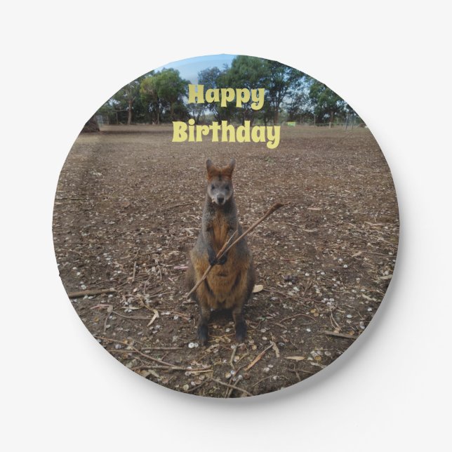 "Nature's Fast: A Wallaby's Snack Break" Pappteller (Vorderseite)