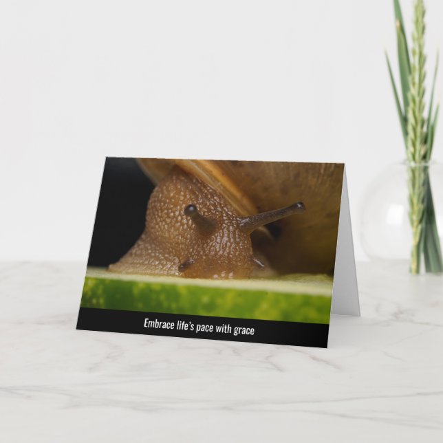 Nature's Gentle Embrace - Snail Nah-Up Dankeskarte (Vorderseite)