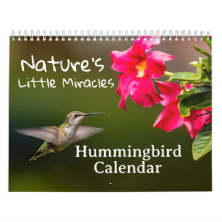 Nature's Little Miracles Hummingbirds Kalender