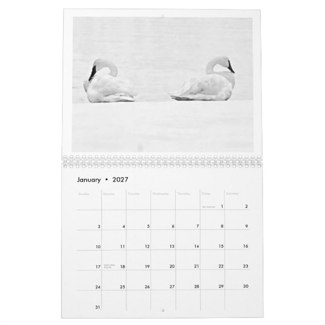 Nature's Perspectives - 2026 Wall Calendar Kalender (Jan 2027)