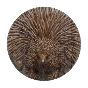 Nature's Quill: Das australische Echidna in Holz, Schneidebrett