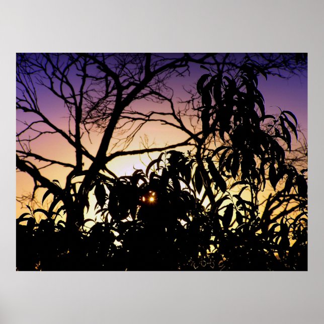 Nature's Silhouette Poster (Vorne)