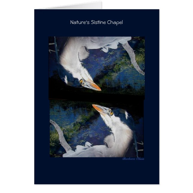 Nature's Sistine Kapelle: Great Blue Heron (Vorne)