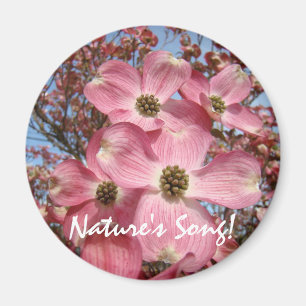 Nature's Song! Magnet Rosa Dogwood-Blume