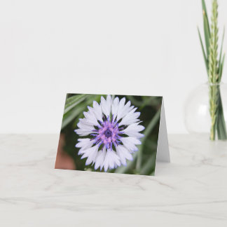 Nature's Touch - Blank Greeting & Dankeschön Card Karte