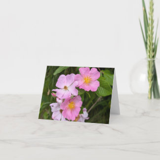 Nature's Touch - Blank Greeting & Dankeschön Card Karte