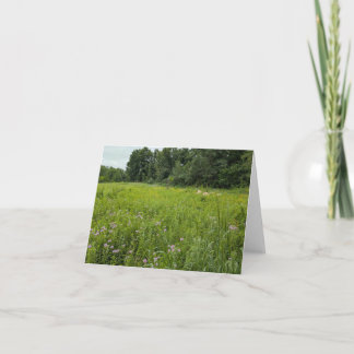 Nature's Touch - Blank Greeting & Dankeschön Card Karte