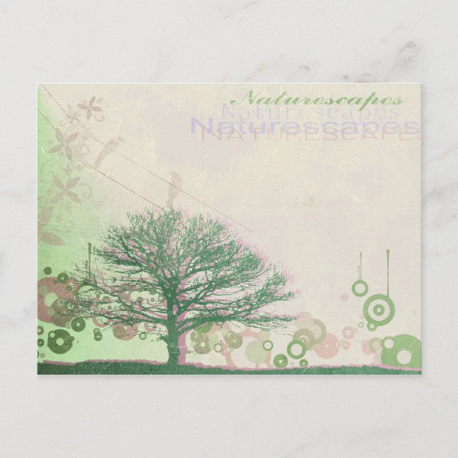 Naturescapes Postkarte (Vorderseite)