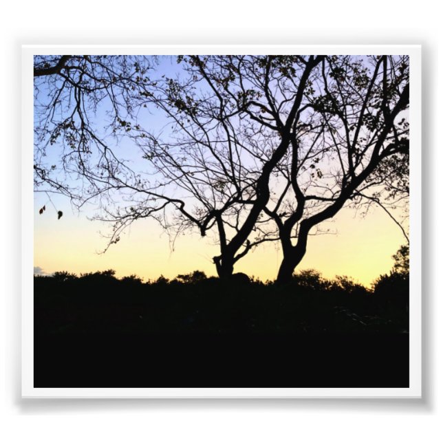 NATUREVERGLADES-FOTO FOTODRUCK (Vorne)