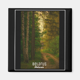 Naturewald ländliches Hüttendorf Weißrussland unbe Magnet