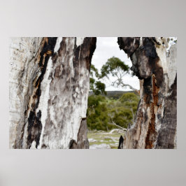Naturfenster Poster