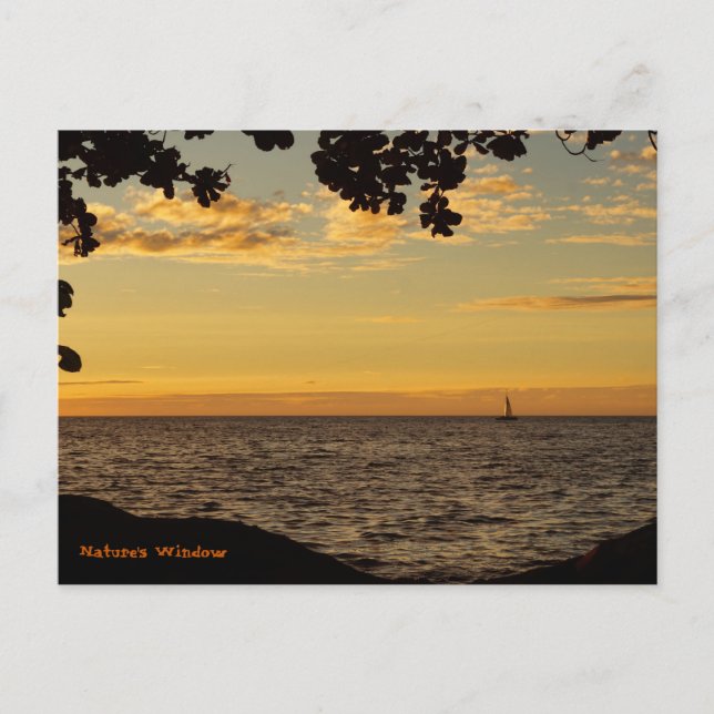 Naturfenster Postkarte (Vorderseite)