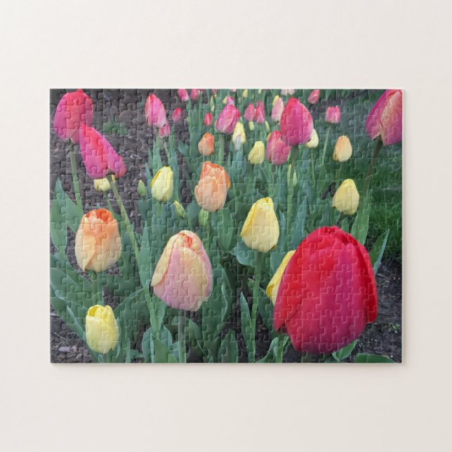 Naturflorales Foto (Horizontal)