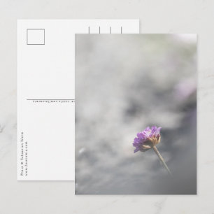 Naturfoto von rosa Blüten Postkarte