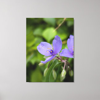 Naturfotografie auf Leinwand