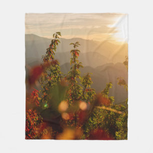 NATURFOTOGRAFIE DER GRÜNEN BÄUME MIT BLICK AUF DEN FLEECEDECKE