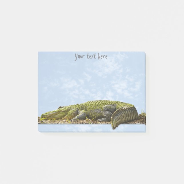 Naturfotografie Großer Gator Panoramaausschnitt Post-it Klebezettel (Vorderseite)