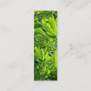 Naturfotografie Grüne Blätter Lesezeichen Neues Bl Mini Visitenkarte