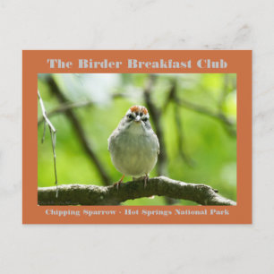 Naturfotografie Haussperling Vogelbeobachter Karte