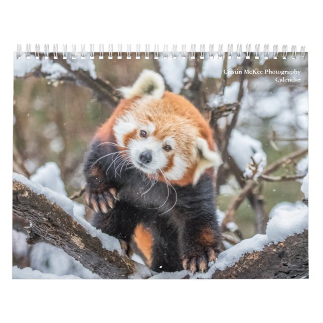 Naturfotografie Kalender (Titelbild)
