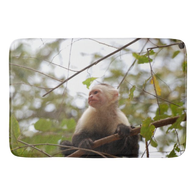 Naturfotografie, Kapuzineraffe Badematte (Vorderseite)