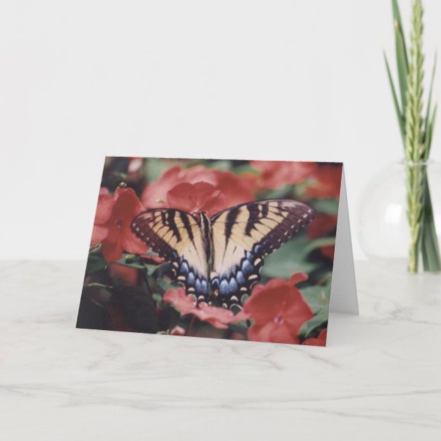 Naturfotografie Karte (Vorderseite)