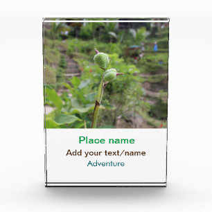 Naturfotografie Pflanze Beachvolleyball Name Fotoblock