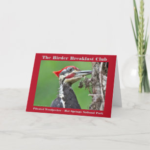 Naturfotografie Pileated Woodpecker Vogelbeobachte Karte