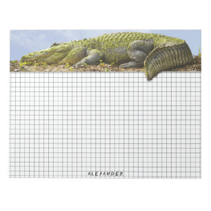 Naturfotografie Riesiger Gator Panoramaausschnitt Notizblock
