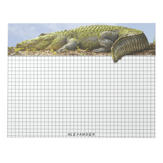 Naturfotografie Riesiger Gator Panoramaausschnitt Notizblock (Vorderseite)