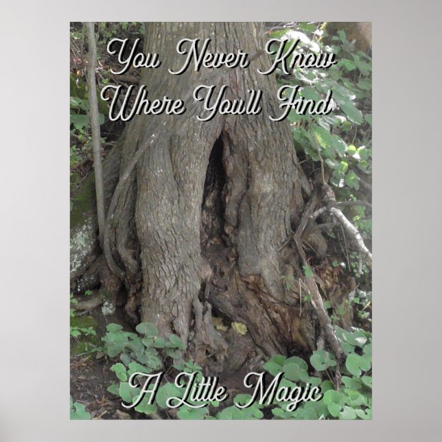 Naturfotografie Tree Trunk Fairy Door Poster (Vorne)