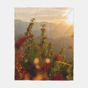Naturfotografie von grünen Bäumen mit Blick auf  Fleecedecke
