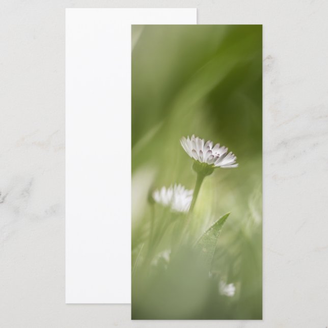 Naturfotokarte (Vorne/Hinten)