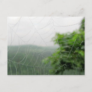 Naturfotos Postkarte