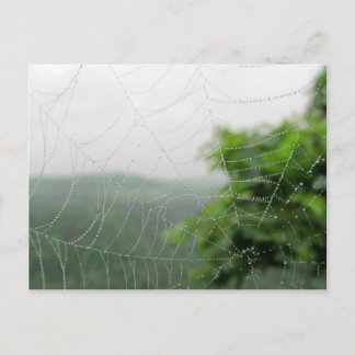Naturfotos Postkarte
