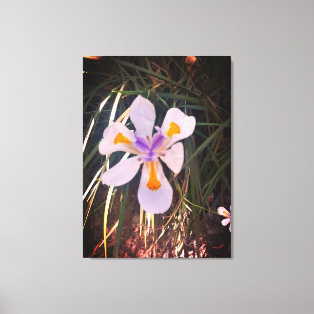Naturgeschenke, gearbeitete Leinwand (Vorderseite)