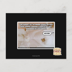 Naturgesetz #45 postkarte