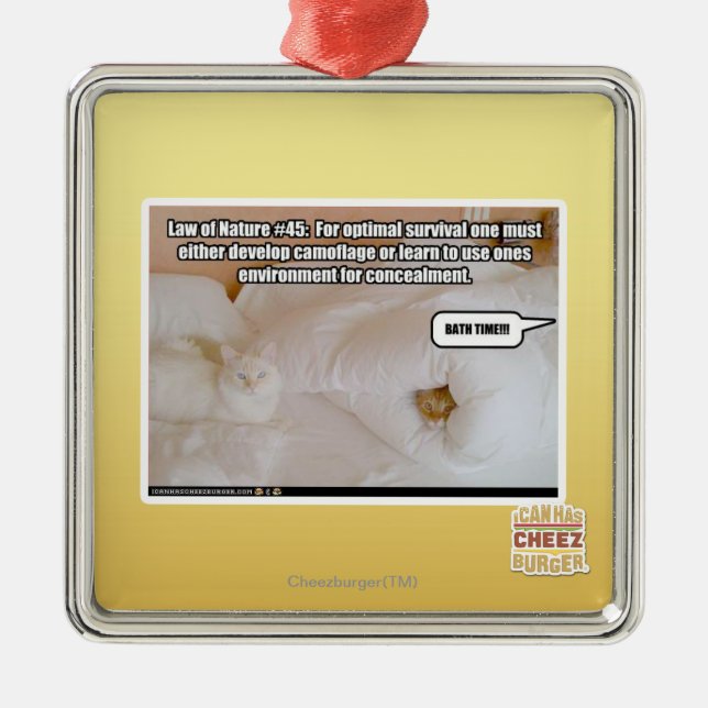 Naturgesetz #45 silbernes ornament (Vorne)