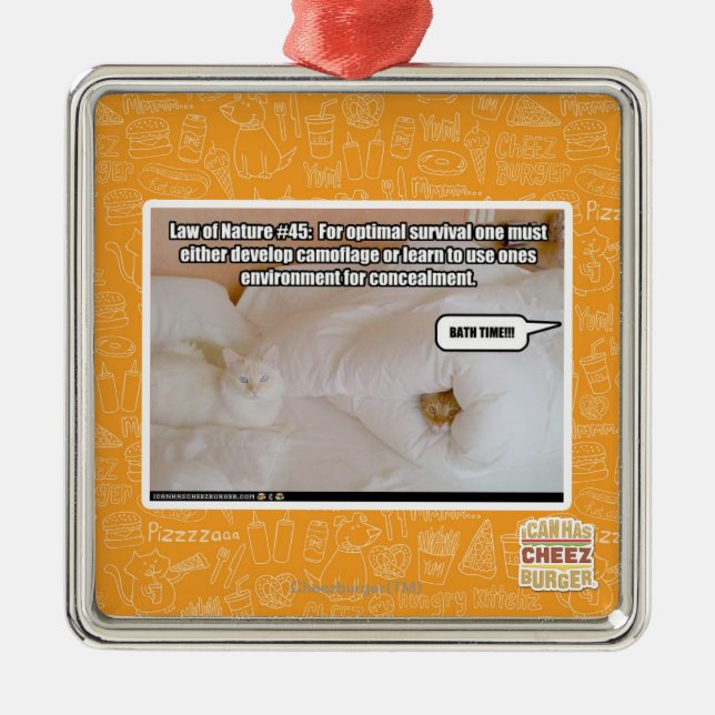 Naturgesetz #45 silbernes ornament (Vorne)