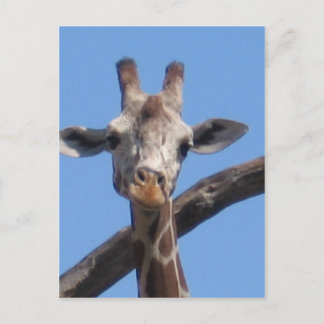 Naturgestein Postkarte