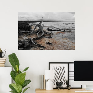 Naturgewalten am Lake Tyrrell Poster