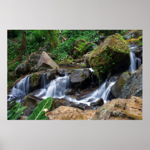 Naturglück Poster