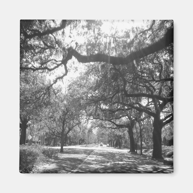 Naturhafen Magnet (Vorne)