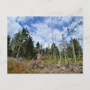 Naturinspirierte Berglandschaftspostkarte Postkarte
