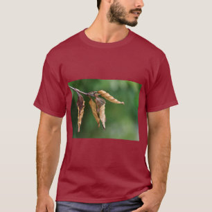 Naturinspirierter Blätterdruck-T-Shirt T-Shirt