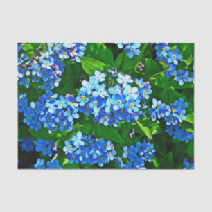 Naturinspirierungen Helles Blau Vergessen Sie mir Seidenpapier