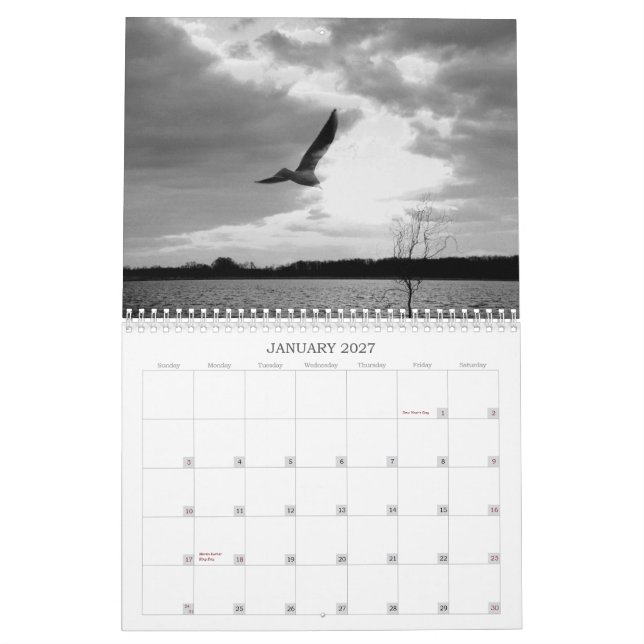 Naturkalender 2008 kalender (Jan 2027)