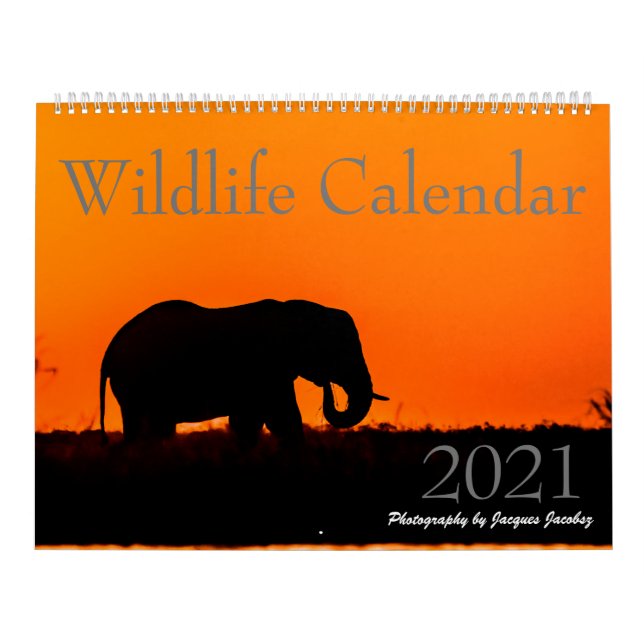 Naturkalender 2021 kalender (Titelbild)