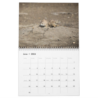 Naturkalender 2024 kalender